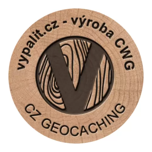 CWG buk větev osobní a eventové, bukový suk, buk větev s letokruhy